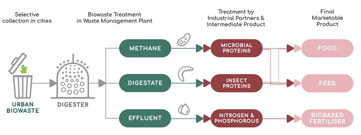 Estrategias de desarrollo de biorreactores y fermentadores para acelerar la transición a la bioeconomía
