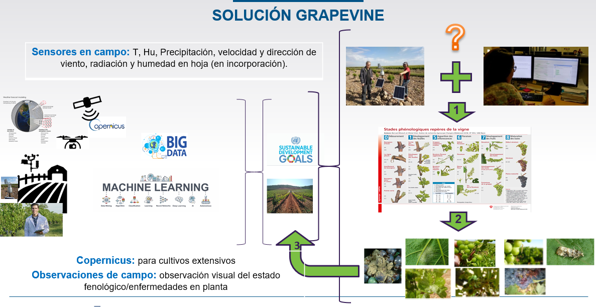 Solución "Grapevine" desarrollada por ITAINNOVA