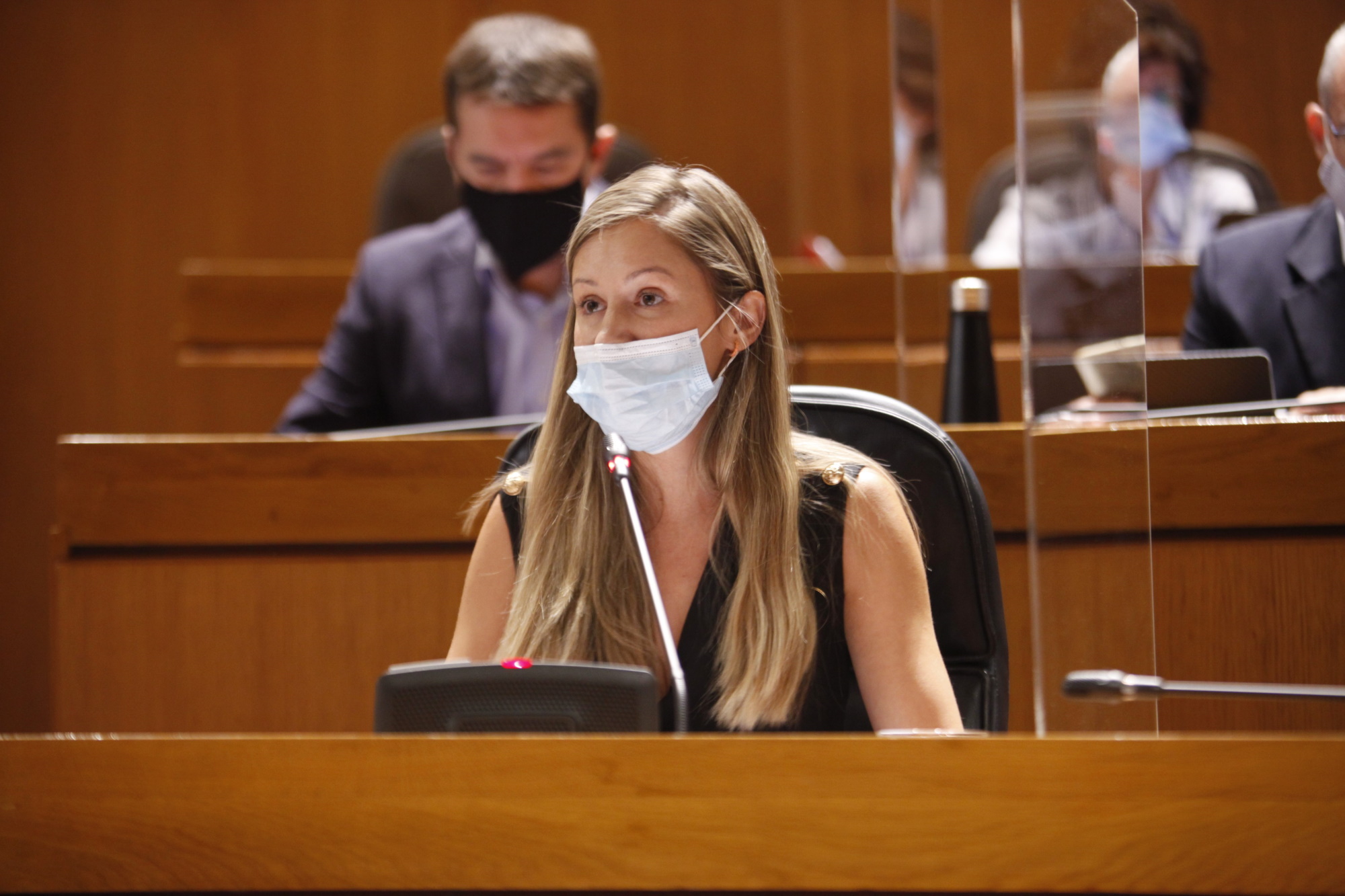 Esther Borao hace balance en las Cortes de Aragón de la actividad de ITAINNOVA desde que comenzó la crisis de la COVID19