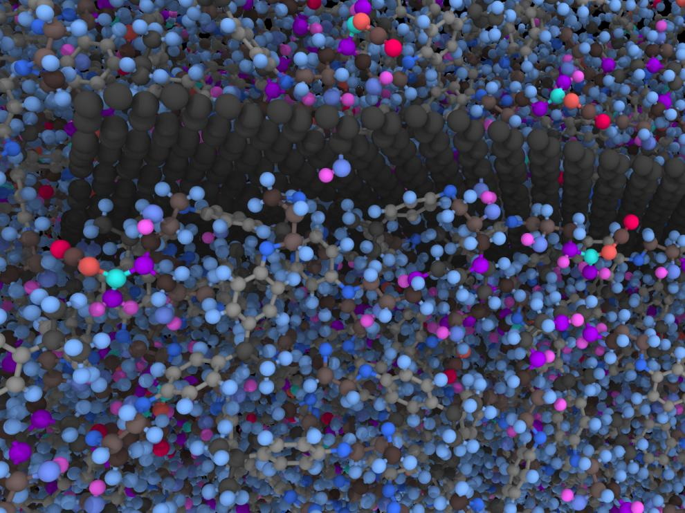 ITAINNOVA participa en el proyecto europeo New Skin, para facilitar a las empresas el acceso a múltiples nanotecnologías