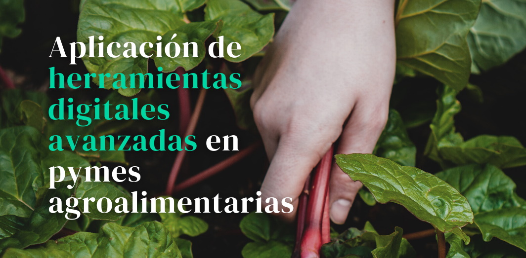 Encuesta para Pymes agroalimentarias sobre la aplicación de herramientas digitales avanzadas