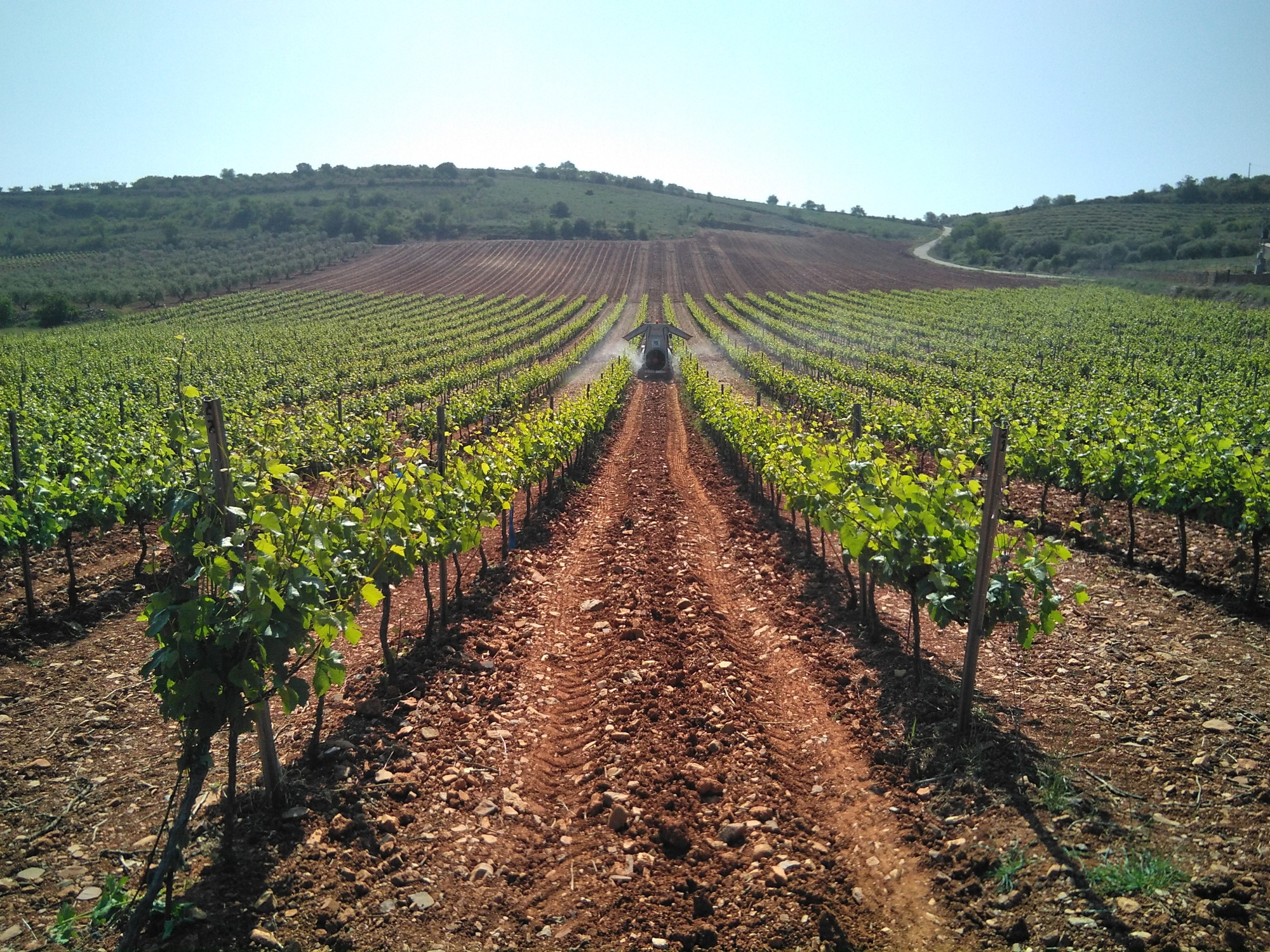 El proyecto europeo Grapevine servirá para ayudar a digitalizar el sector agroalimentario aragonés