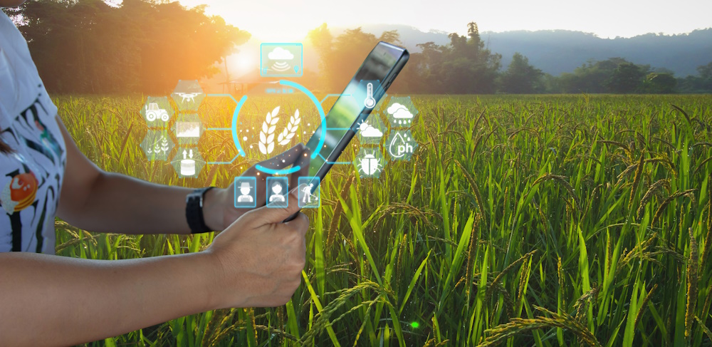 El ITA y Sarga lideran el caso de uso de datos de inteligencia artificial en el sector agrario, en el proyecto europeo Titan-EOSC