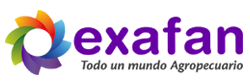 exafan.com